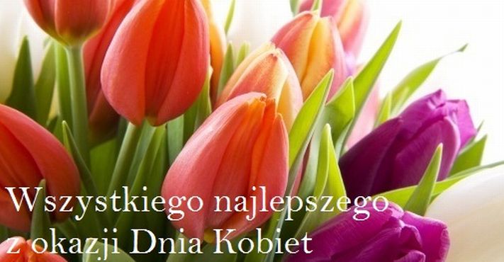 Kolorowe tulipany z okazji Dnia Kobiet
